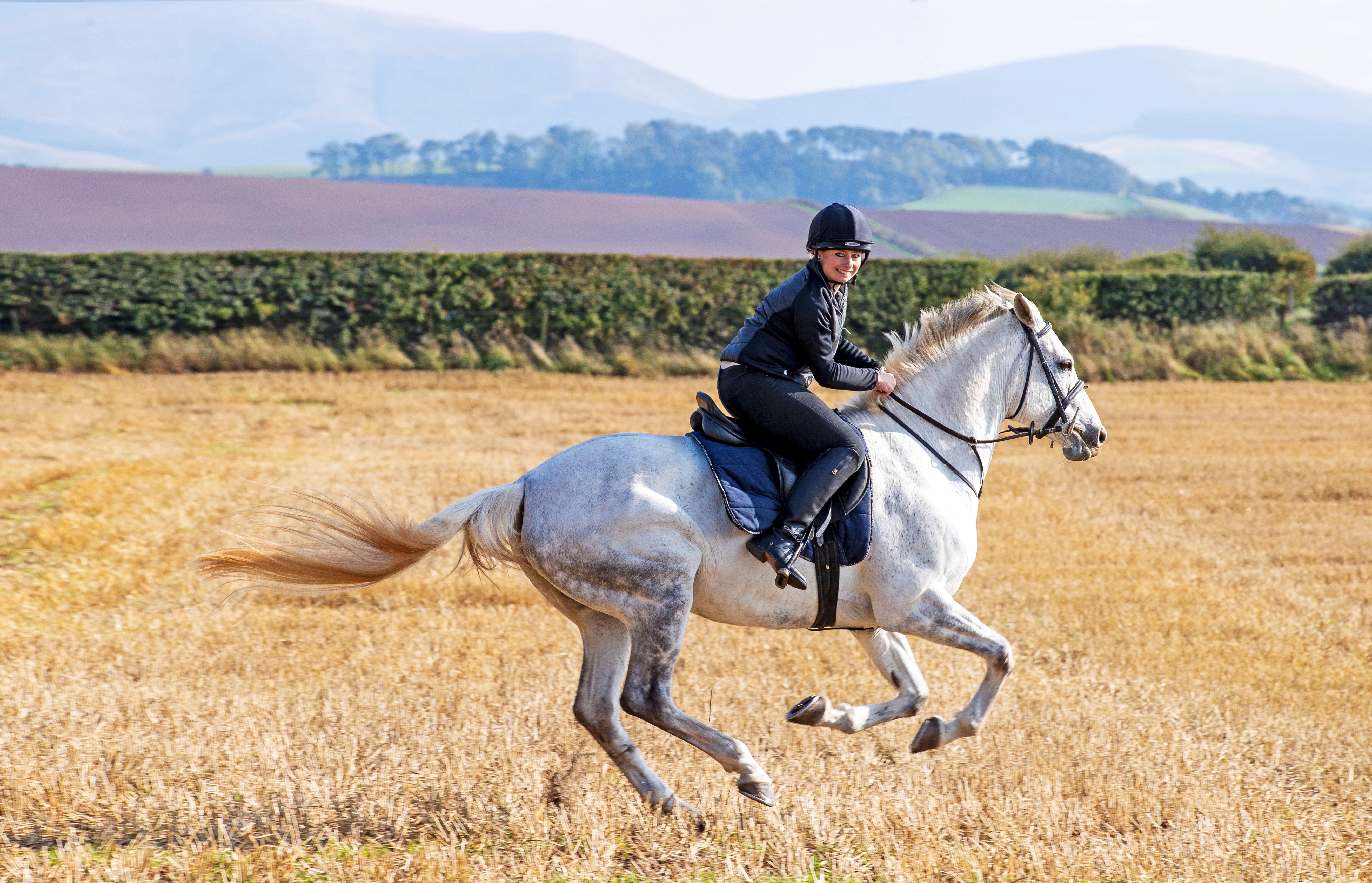 Schloss Roxburghe, Part Of Destination By Hyatt Εξωτερικό φωτογραφία A rider on a purebred Spanish horse